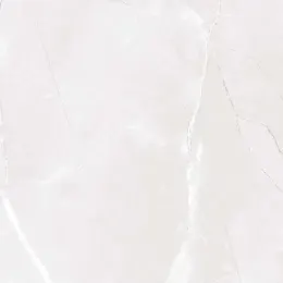سرامیک سرام نگار طرح ساسان طوسی براق سایز 60*60