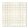 کاشی استخری البرز سفید کد CG White 3 براق سایز 2/5*2/5